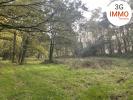 Vente Terrain Grand-champ  56390
