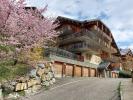 Vente Appartement Vaujany  38114 3 pieces 42 m2