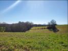 Vente Terrain Marciac  32230 9010 m2