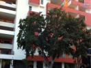 Vente Appartement Sainte-clotilde  97490 2 pieces
