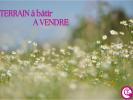 Vente Terrain Loroux-bottereau  44430 2 pieces 509 m2