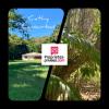 Vente Terrain Pointe-noire  97116 10000 m2