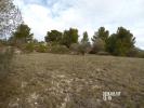 Vente Terrain Narbonne  11100 2199 m2