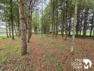 Vente Terrain Biesles  52340 2670 m2