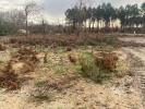 Vente Terrain Biscarrosse  40600 405 m2