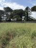 Vente Terrain Podensac  33720 640 m2