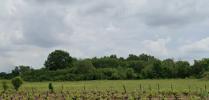 Vente Terrain Creon  33670 750 m2