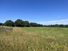 Vente Terrain Cholet 49300 597 m2