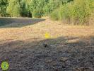 Vente Terrain Neris-les-bains 03310 4595 m2