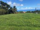 Vente Terrain Basse-pointe  97218 1389 m2