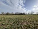 Vente Terrain Tendu 36200 32767 m2