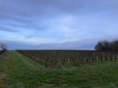 Vente Terrain Montussan  33450 550 m2