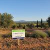 Vente Terrain Peyrolles-en-provence  13860 387 m2