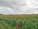 Vente Terrain Angerville-la-martel  76540 1526 m2