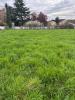 Vente Terrain Oudon  44521