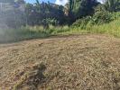 Vente Terrain Schoelcher 97233 517 m2