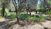 Vente Terrain Nimes  30000