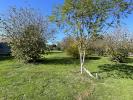 Vente Terrain Cussac-fort-medoc  33460 910 m2