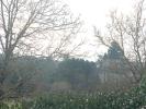 Vente Terrain Migne-auxances  86440 662 m2