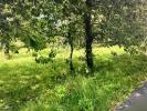 Vente Maison Fismes  51170 4 pieces 400 m2