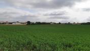 Vente Terrain Lussant  17430 650 m2