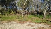 Vente Terrain Noaillan  33730 850 m2