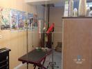 Vente Commerce Chateauneuf-du-faou  29520 4 pieces 20 m2