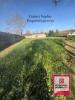 Vente Terrain Sainte-hermine 85210 858 m2