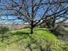 Vente Terrain Moissac  82200 4763 m2