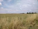 Vente Terrain Saint-hippolyte  17430 750 m2