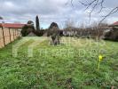Vente Terrain Pibrac  31820 761 m2