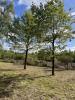 Vente Terrain Grayan-et-l'hopital  33590 1200 m2