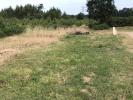 Vente Maison Teste-de-buch  33260 3 pieces 60 m2