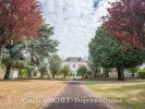 Vente Prestige Sorinieres  44840 20 pieces 454 m2