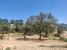 Vente Maison Mondragon  84430 50 m2