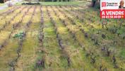 Vente Terrain Sainte-cecile-les-vignes  84290 591 m2