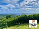 Vente Terrain Pointe-noire  97116 1500 m2
