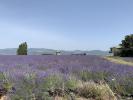 Vente Terrain Montelimar  26200 290 m2