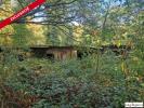 Vente Terrain Monteneuf  56380 32767 m2