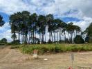 Vente Terrain Ambares-et-lagrave  33440 745 m2