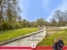 Vente Terrain Selles-sur-cher  41130 3626 m2