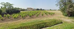 Vente Terrain Violes  84150 490 m2