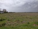 Vente Terrain Saint-nazaire-sur-charente  17780 217 m2