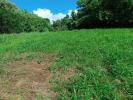 Vente Terrain Morne-rouge  97260 1167 m2