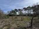 Vente Terrain Guemene-penfao  44290 2672 m2