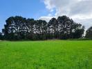 Vente Terrain Lesconil  29740 593 m2