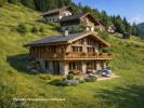 Vente Terrain Crest-voland  73590 1327 m2