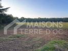 Vente Terrain Terssac  81150 923 m2