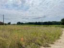Vente Terrain Cursan  33670 550 m2