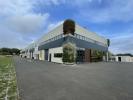 Location Commerce Salleboeuf  33370 126 m2
